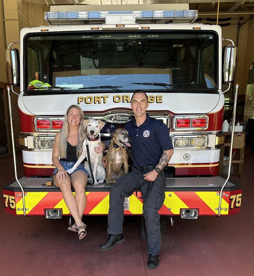 a man and woman sitting in front of fire truck with two dogs